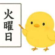 ヒメ日記 2025/08/19 07:42 投稿 みのり 佐賀人妻デリヘル 「デリ夫人」