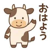 ヒメ日記 2025/08/29 08:59 投稿 みのり 佐賀人妻デリヘル 「デリ夫人」