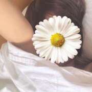 ヒメ日記 2025/10/03 08:35 投稿 みのり 佐賀人妻デリヘル 「デリ夫人」