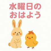 ヒメ日記 2025/10/08 06:15 投稿 みのり 佐賀人妻デリヘル 「デリ夫人」