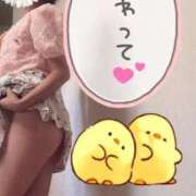 ヒメ日記 2025/10/11 11:24 投稿 みのり 佐賀人妻デリヘル 「デリ夫人」