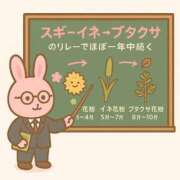 ヒメ日記 2025/10/23 01:08 投稿 みのり 佐賀人妻デリヘル 「デリ夫人」