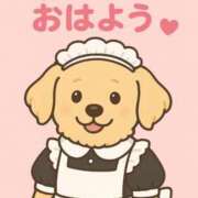 ヒメ日記 2025/10/27 05:45 投稿 みのり 佐賀人妻デリヘル 「デリ夫人」