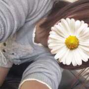 ヒメ日記 2025/11/06 20:52 投稿 みのり 佐賀人妻デリヘル 「デリ夫人」