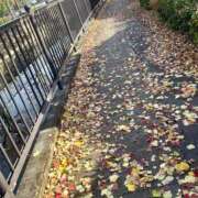 ヒメ日記 2025/12/01 15:37 投稿 みのり 佐賀人妻デリヘル 「デリ夫人」