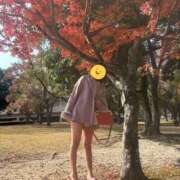 ヒメ日記 2025/12/02 18:59 投稿 みのり 佐賀人妻デリヘル 「デリ夫人」