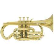 ヒメ日記 2025/12/09 14:54 投稿 みのり 佐賀人妻デリヘル 「デリ夫人」