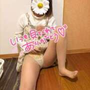 ヒメ日記 2026/01/29 15:13 投稿 みのり 佐賀人妻デリヘル 「デリ夫人」