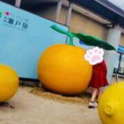 ヒメ日記 2026/01/30 08:26 投稿 みのり 佐賀人妻デリヘル 「デリ夫人」