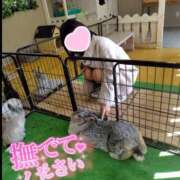 ヒメ日記 2026/02/04 23:18 投稿 みのり 佐賀人妻デリヘル 「デリ夫人」