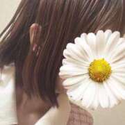 ヒメ日記 2026/02/07 12:41 投稿 みのり 佐賀人妻デリヘル 「デリ夫人」