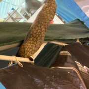 ヒメ日記 2026/02/09 06:18 投稿 みのり 佐賀人妻デリヘル 「デリ夫人」