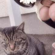 ヒメ日記 2026/02/10 00:03 投稿 みのり 佐賀人妻デリヘル 「デリ夫人」