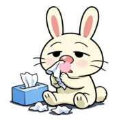 ヒメ日記 2026/02/11 08:51 投稿 みのり 佐賀人妻デリヘル 「デリ夫人」