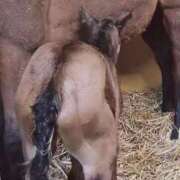 ヒメ日記 2026/02/18 01:40 投稿 みのり 佐賀人妻デリヘル 「デリ夫人」