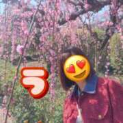 ヒメ日記 2026/02/19 18:32 投稿 みのり 佐賀人妻デリヘル 「デリ夫人」