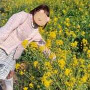 ヒメ日記 2026/02/21 11:33 投稿 みのり 佐賀人妻デリヘル 「デリ夫人」