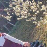 ヒメ日記 2026/02/25 06:37 投稿 みのり 佐賀人妻デリヘル 「デリ夫人」