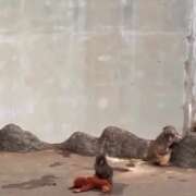 ヒメ日記 2026/02/27 00:30 投稿 みのり 佐賀人妻デリヘル 「デリ夫人」