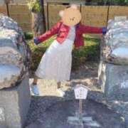 ヒメ日記 2026/02/27 22:22 投稿 みのり 佐賀人妻デリヘル 「デリ夫人」