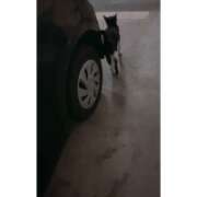 ヒメ日記 2026/03/01 01:57 投稿 みのり 佐賀人妻デリヘル 「デリ夫人」