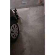 ヒメ日記 2026/03/01 12:28 投稿 みのり 佐賀人妻デリヘル 「デリ夫人」