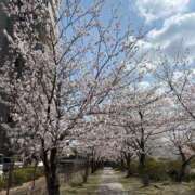 ヒメ日記 2026/03/04 14:53 投稿 みのり 佐賀人妻デリヘル 「デリ夫人」