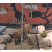 ヒメ日記 2026/03/07 08:02 投稿 みのり 佐賀人妻デリヘル 「デリ夫人」