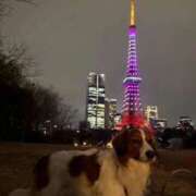 ヒメ日記 2026/03/11 08:20 投稿 みのり 佐賀人妻デリヘル 「デリ夫人」