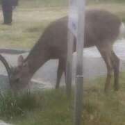 ヒメ日記 2026/03/24 18:30 投稿 みのり 佐賀人妻デリヘル 「デリ夫人」