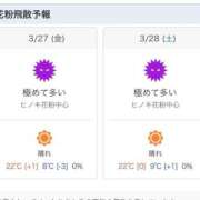 ヒメ日記 2026/03/27 00:31 投稿 みのり 佐賀人妻デリヘル 「デリ夫人」