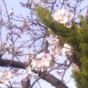 ヒメ日記 2026/03/27 17:15 投稿 みのり 佐賀人妻デリヘル 「デリ夫人」