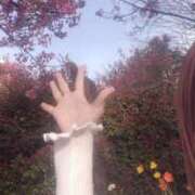 ヒメ日記 2026/03/28 00:33 投稿 みのり 佐賀人妻デリヘル 「デリ夫人」