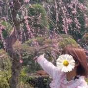 ヒメ日記 2026/03/29 10:37 投稿 みのり 佐賀人妻デリヘル 「デリ夫人」