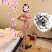 ヒメ日記 2026/03/29 19:27 投稿 みのり 佐賀人妻デリヘル 「デリ夫人」