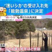 ヒメ日記 2026/03/31 10:36 投稿 みのり 佐賀人妻デリヘル 「デリ夫人」
