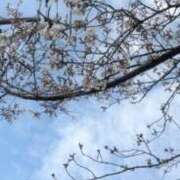 ヒメ日記 2026/03/31 17:26 投稿 みのり 佐賀人妻デリヘル 「デリ夫人」