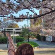 ヒメ日記 2026/04/02 00:53 投稿 みのり 佐賀人妻デリヘル 「デリ夫人」