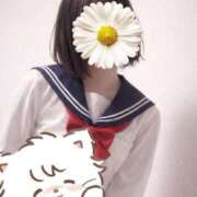 ヒメ日記 2026/04/03 01:21 投稿 みのり 佐賀人妻デリヘル 「デリ夫人」