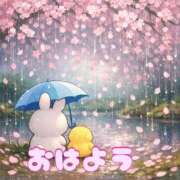 ヒメ日記 2026/04/04 07:18 投稿 みのり 佐賀人妻デリヘル 「デリ夫人」