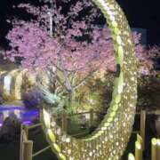 ヒメ日記 2026/04/04 09:50 投稿 みのり 佐賀人妻デリヘル 「デリ夫人」