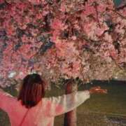 ヒメ日記 2026/04/04 23:26 投稿 みのり 佐賀人妻デリヘル 「デリ夫人」