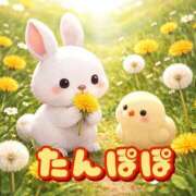 ヒメ日記 2026/04/07 06:48 投稿 みのり 佐賀人妻デリヘル 「デリ夫人」