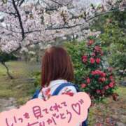 ヒメ日記 2026/04/08 12:35 投稿 みのり 佐賀人妻デリヘル 「デリ夫人」