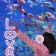 ヒメ日記 2026/04/15 20:24 投稿 みのり 佐賀人妻デリヘル 「デリ夫人」