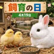 ヒメ日記 2026/04/19 08:29 投稿 みのり 佐賀人妻デリヘル 「デリ夫人」