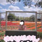 ヒメ日記 2026/04/20 19:39 投稿 みのり 佐賀人妻デリヘル 「デリ夫人」