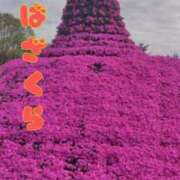 みのり 芝桜💗 佐賀人妻デリヘル 「デリ夫人」
