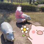 ヒメ日記 2026/04/23 09:19 投稿 みのり 佐賀人妻デリヘル 「デリ夫人」