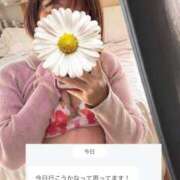 ヒメ日記 2026/04/29 08:43 投稿 みのり 佐賀人妻デリヘル 「デリ夫人」